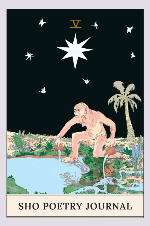 Graphic modeled after the Star Tarot card shows a pink and beige female hominin kneeling at a pond, pouring water from terracotta-colored jugs onto land and into the pond. Seven small off-white hummingbird-shaped stars and one large star are pictured against a dark sky with a coconut tree in the corner. The earth is lush green and brown.