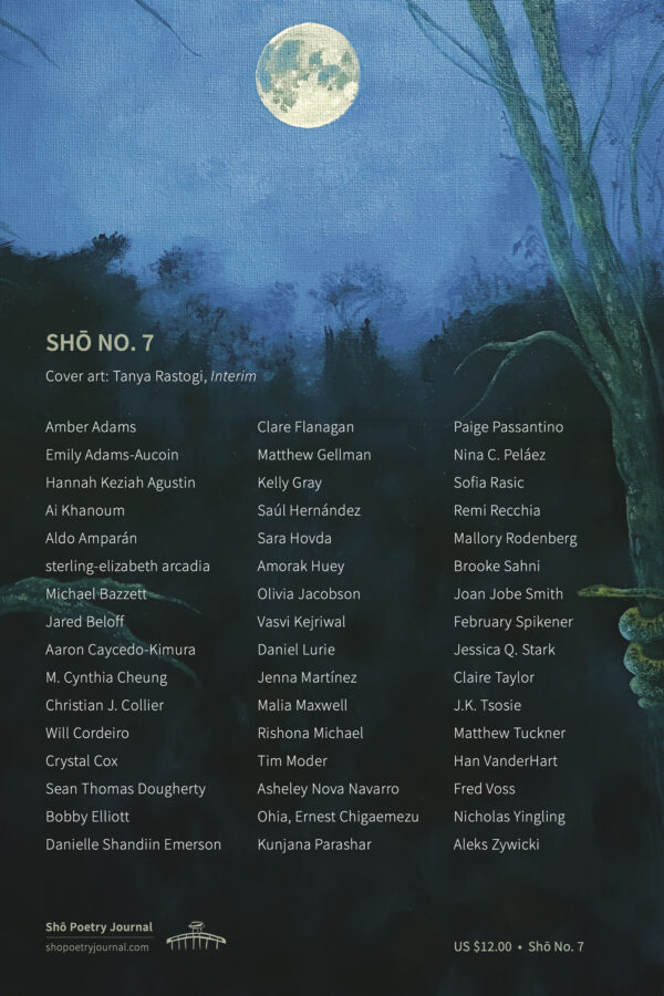 Back cover of Sho Poetry Journal No. 7 (Summer 2025). Acrylic moon in a shadowy forest night landscape. Lists 48 contributors names and the name of the artist.